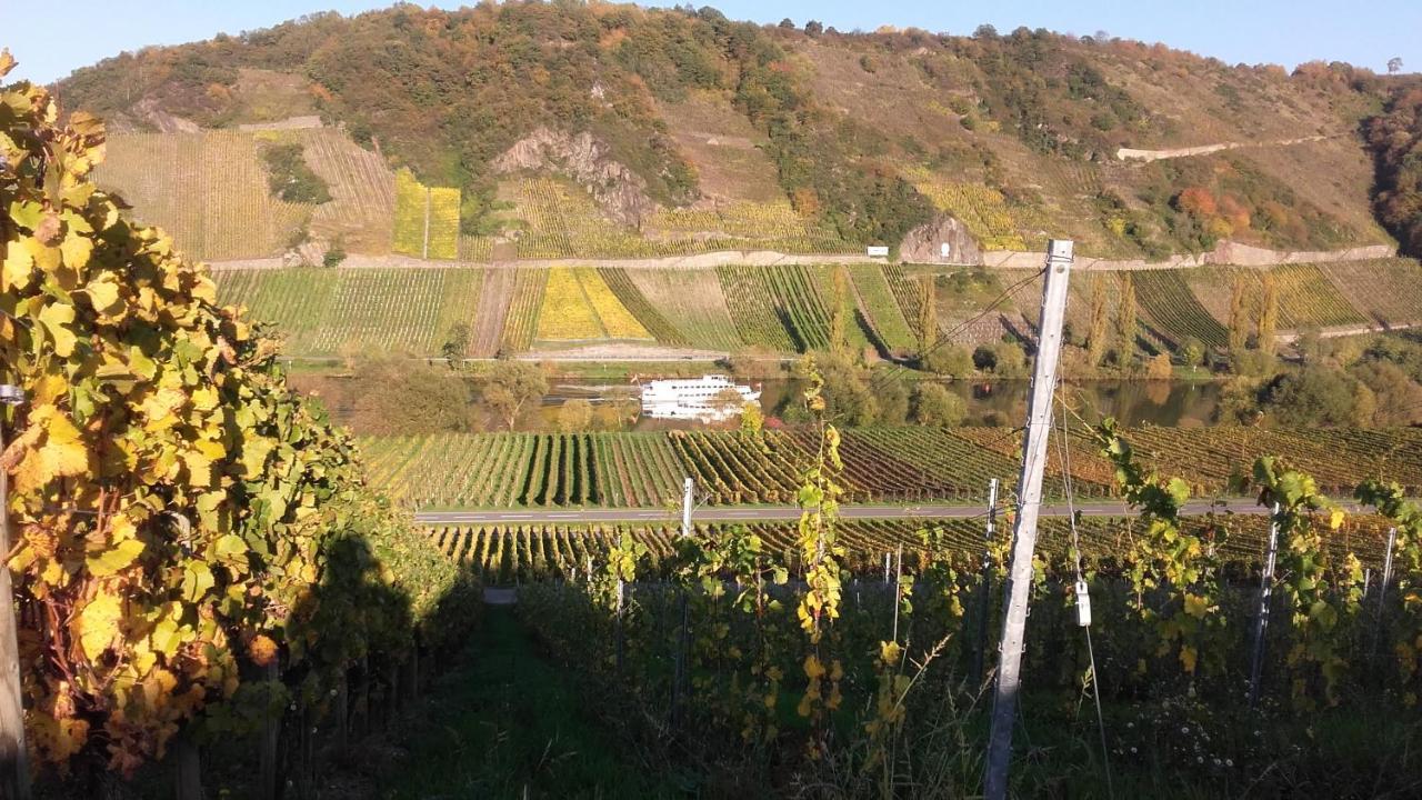 Gaestehaus Moselblick Trittenheim Extérieur photo