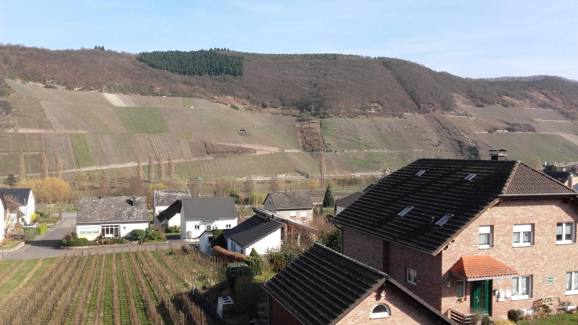 Gaestehaus Moselblick Trittenheim Extérieur photo